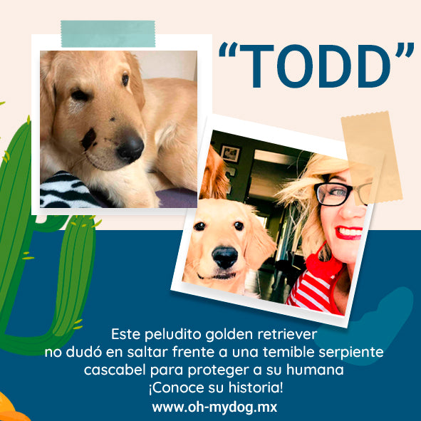 El pequeño Todd - Oh My Dog