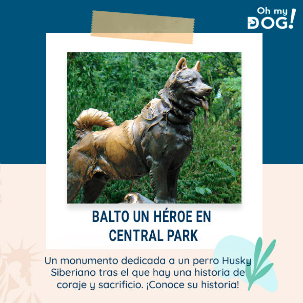 Balto, un héroe en Central Park