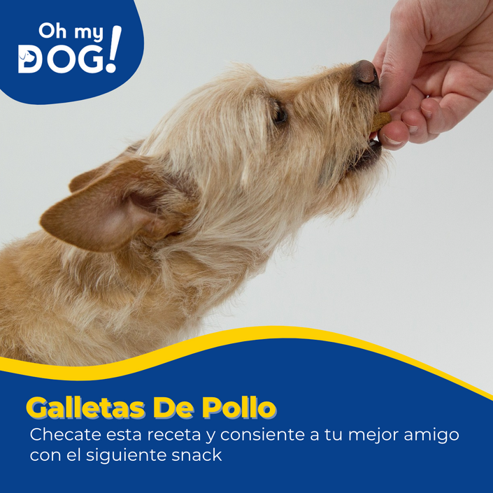 Receta Galleta de Pollo para tu 🐶🐾