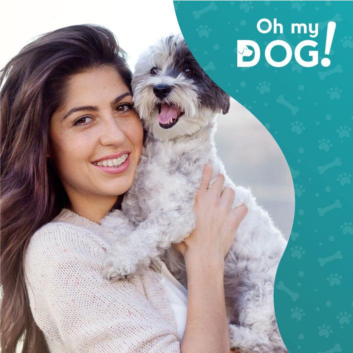 ¿Cómo saber la edad de un perro? - ¡Descúbrelo! - Oh My Dog