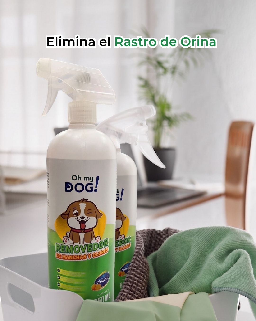 Removedor de manchas Oh My Dog