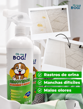Translation missing: es.sections.featured_product.gallery_thumbnail_alt
