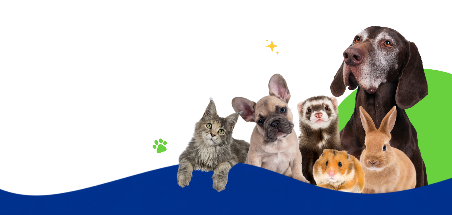 Mascotas Oh My Dog