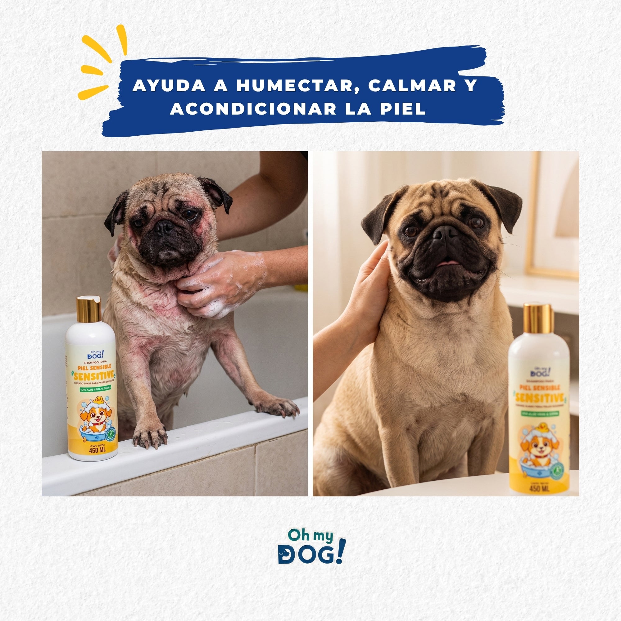 OH MY DOG Tripack Shampoo para Perros , Sensitive Aloe Vera & Avena + Balance Té Verde & Jojoba + Glow Lavanda & Manzanilla, 3 x 450 ml