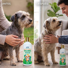 Translation missing: es.sections.featured_product.gallery_thumbnail_alt
