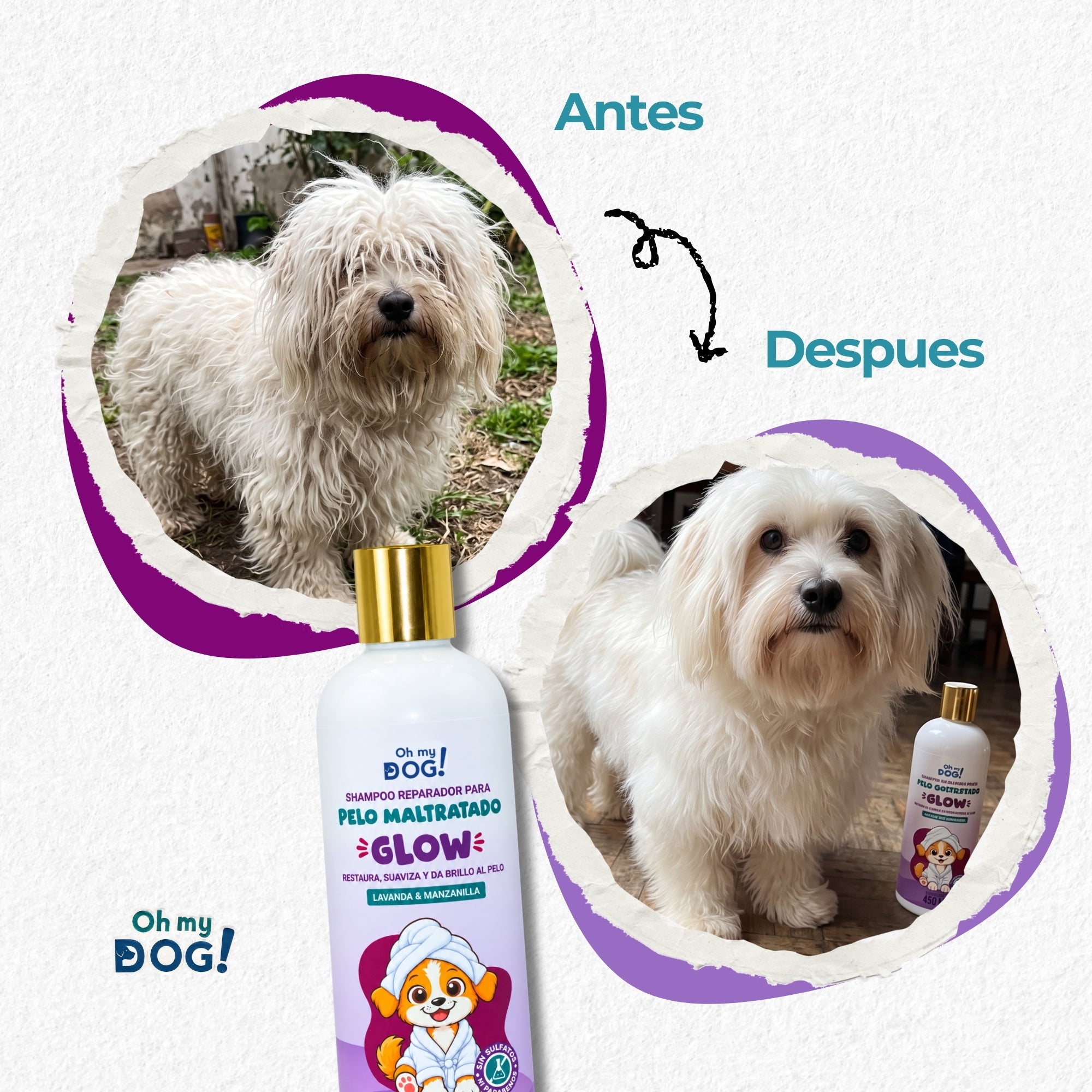 Shampoo Perros y Gatos GLOW Lavanda & Manzanilla para Pelo Maltratado | Duo 2 x 450 ml | Oh My Dog