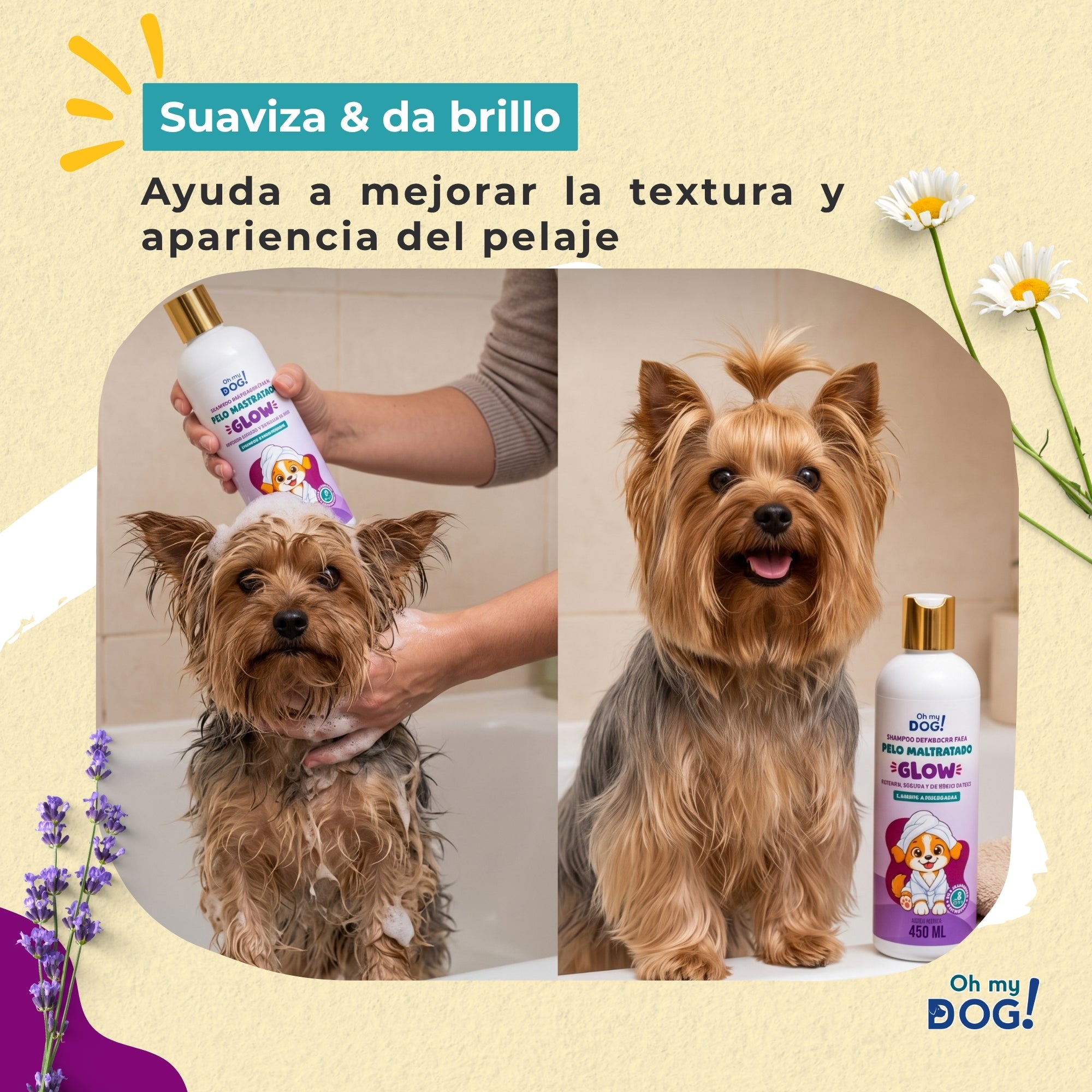 OH MY DOG Tripack Shampoo para Perros , Sensitive Aloe Vera & Avena + Balance Té Verde & Jojoba + Glow Lavanda & Manzanilla, 3 x 450 ml