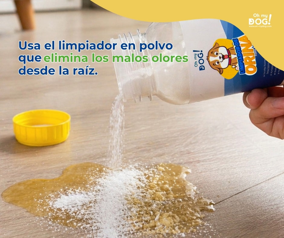 Combo de Limpieza ( Oh My Dog + Recogedor)