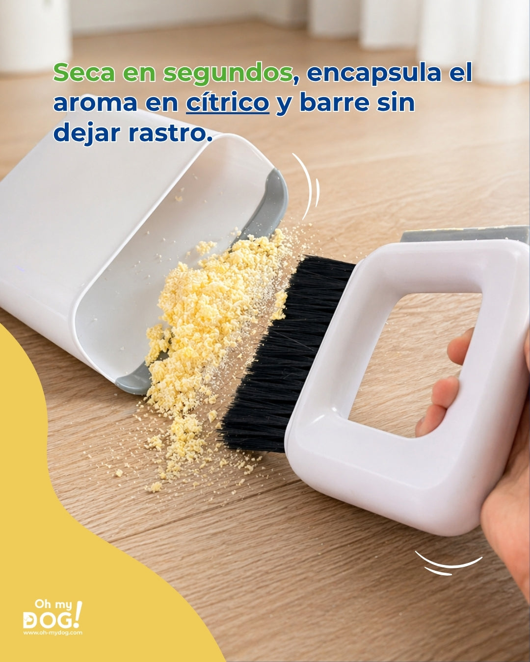 Maxi Combo (Pack Completo: Removedor + Solidificador)